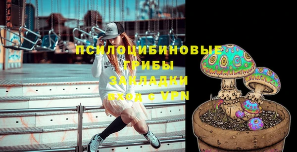 spice Алексеевка