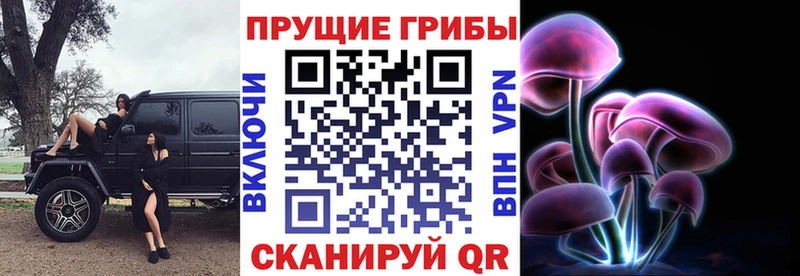 сайты даркнета официальный сайт  Оренбург  Галлюциногенные грибы MAGIC MUSHROOMS  магазин  наркотиков 