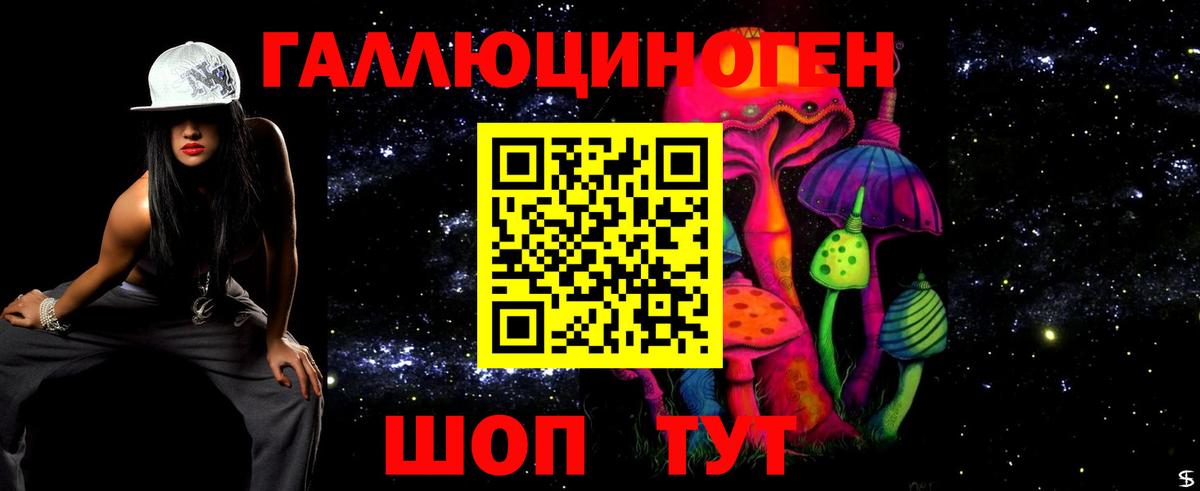 Галлюциногенные грибы Psilocybine cubensis  Псилоцибиновые грибы мухоморы  Вход с VPN  Оренбург 